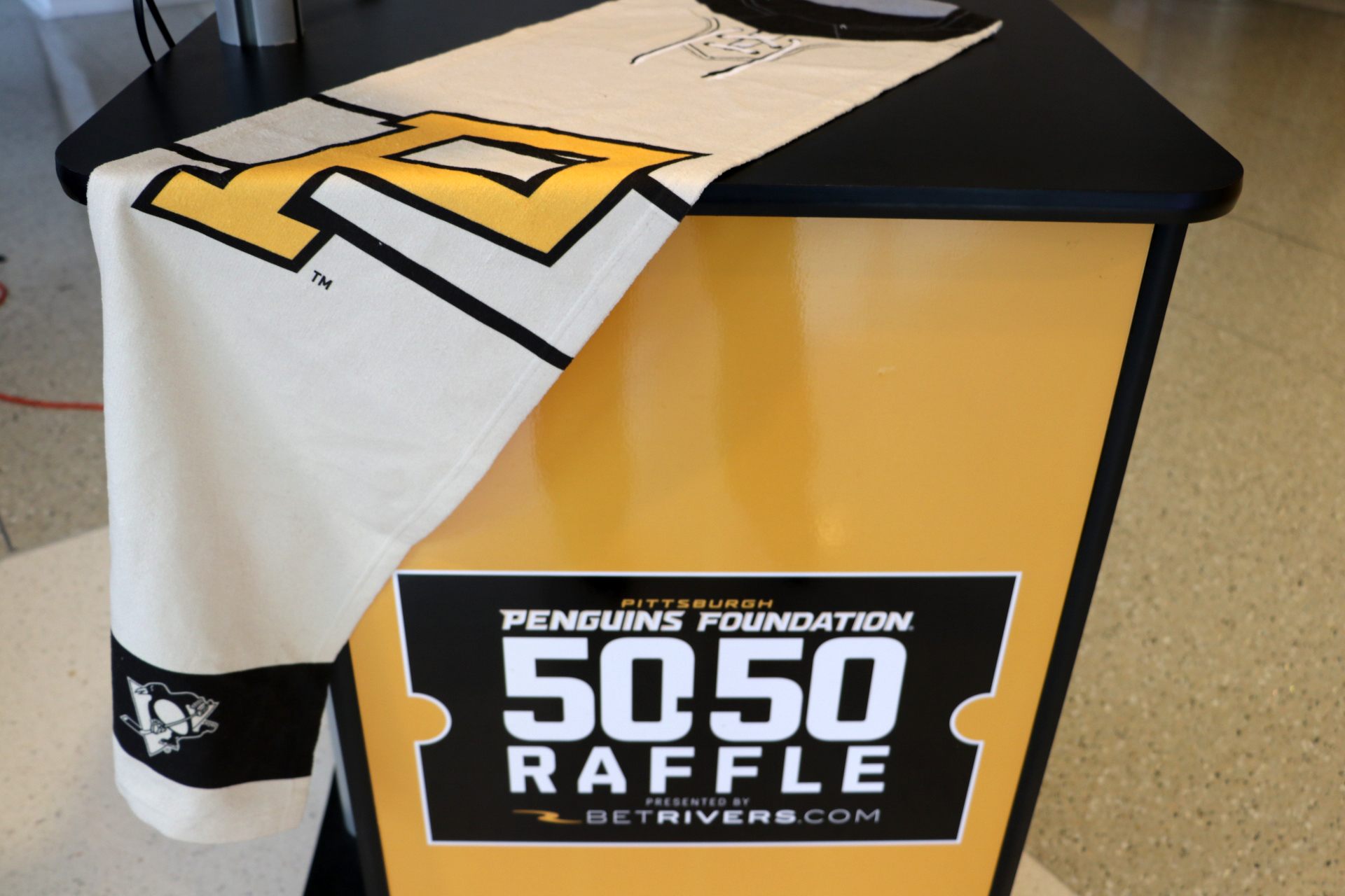 Pittsburgh Penguins - The Penguins camouflage jersey auction is underway.  Proceeds benefit Wounded Warrior Project and Mario Lemieux Foundation. You  can bid here